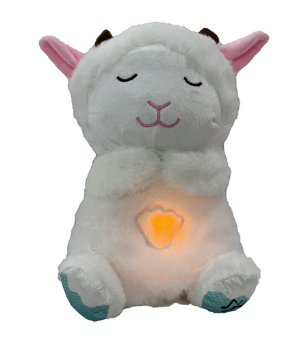 Baby Soothing Plush Music Toy